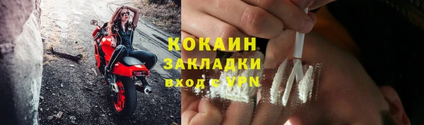 ПСИЛОЦИБИНОВЫЕ ГРИБЫ Абаза