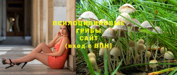 apvp Абдулино