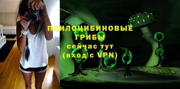 ПСИЛОЦИБИНОВЫЕ ГРИБЫ Абаза