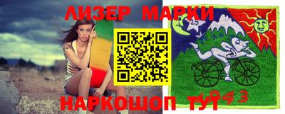 индика Камышлов